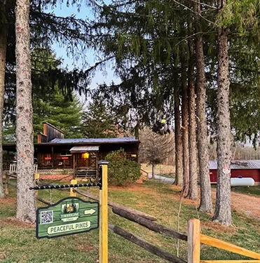 The Transformation of Broken Timbers into Peaceful Pines Lodge