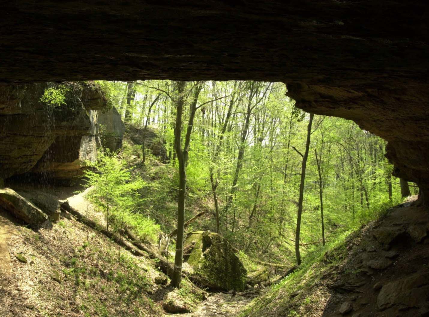 Meeting God in a Cave img