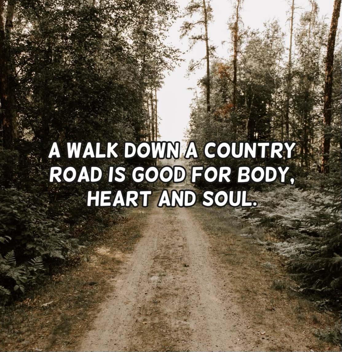 A walk down a country road is good for your body, heart and soul.