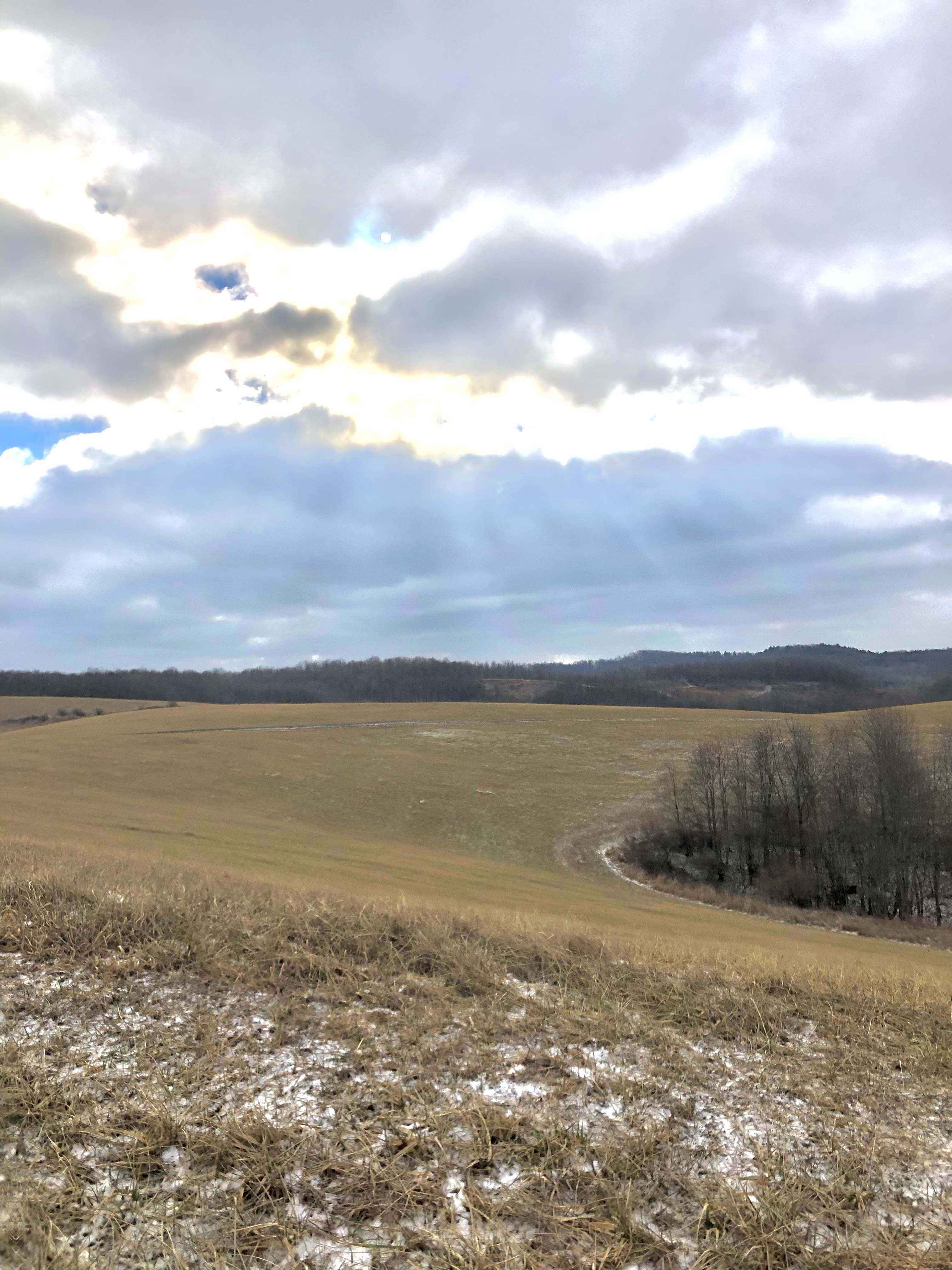 overlook of farm area