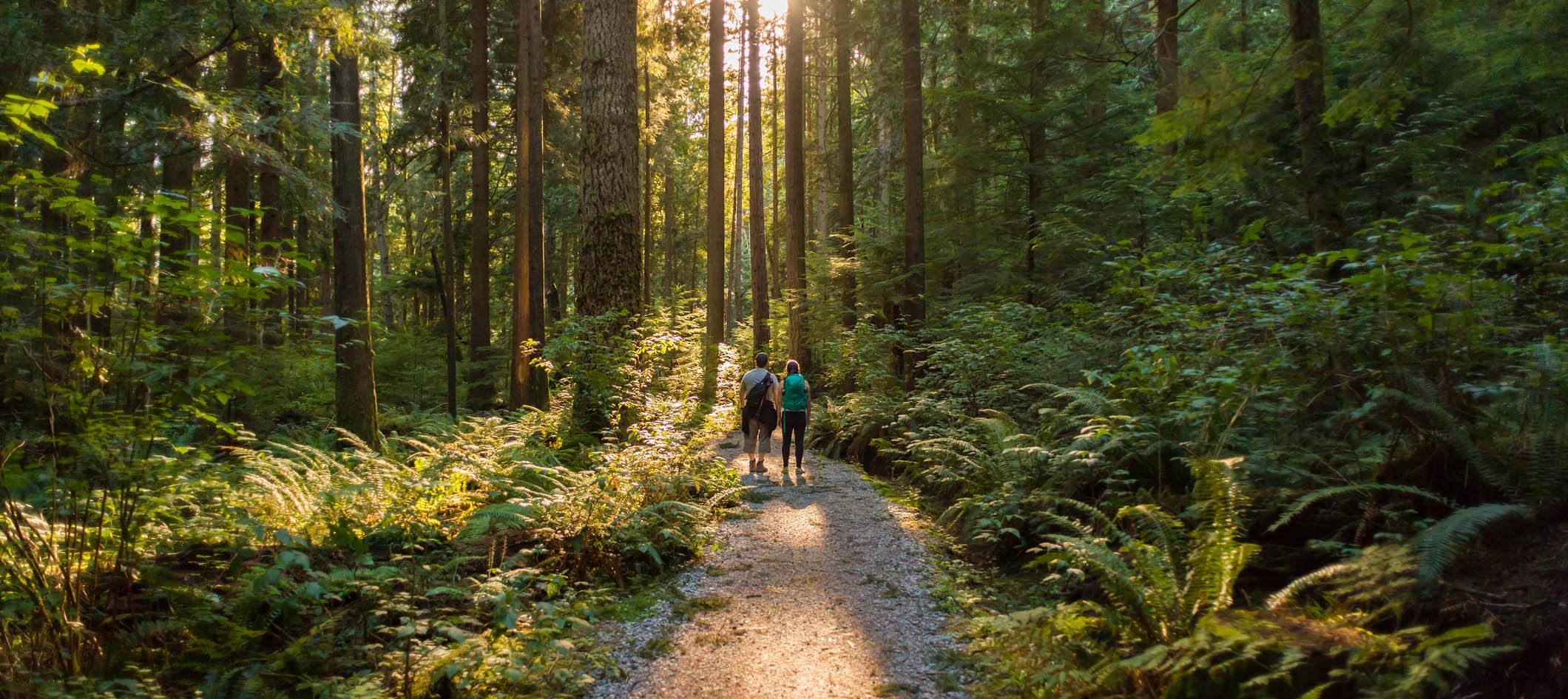 Rest & Explore at Timberline Cabins Rentals