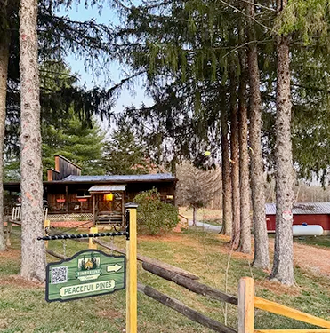 The Transformation of Broken Timbers into Peaceful Pines Lodge