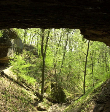 Meeting God in a Cave img