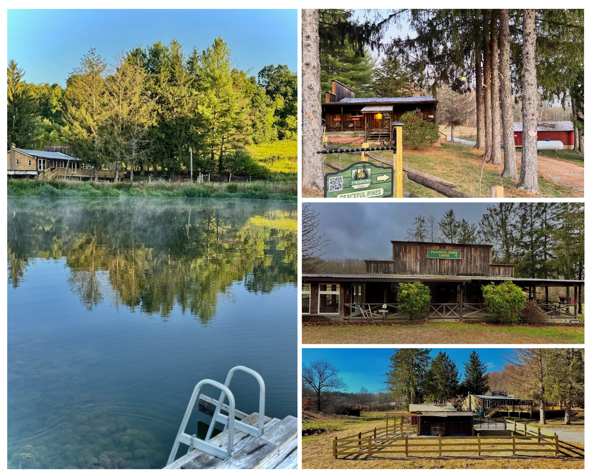 The Transformation of Broken Timbers