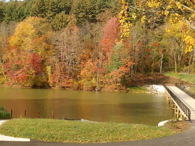 Cabin among the pines at the Atwood Lake area