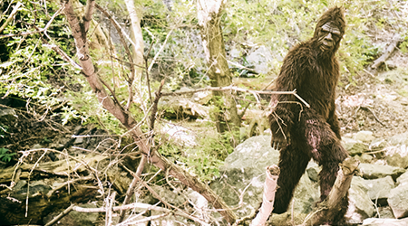 Bigfoot figure standing in a rocky wooded creek bed