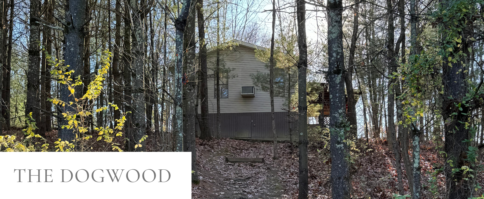 Exterior seating area at Dogwood Cottage among the trees