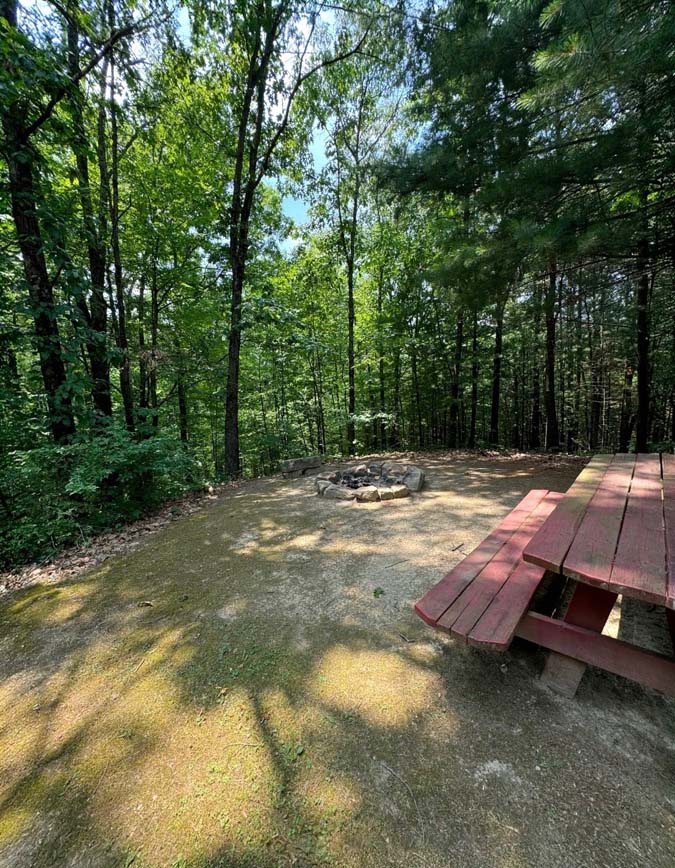 The Dogwood at Timberline Cabins woods