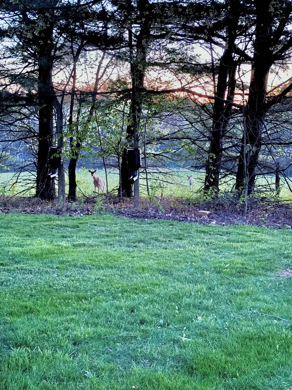 Hillside Hideaway Lodge at Timberline Cabins Rentals at Atwood Lake