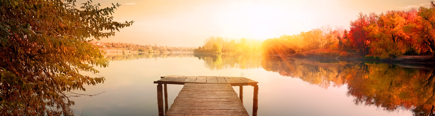 lakeside view