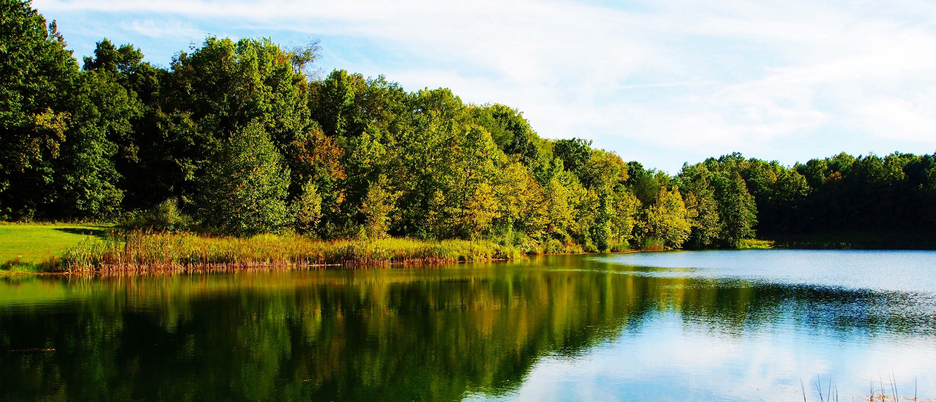 lakeside view