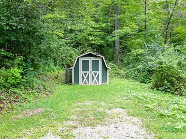 green shed in the woods