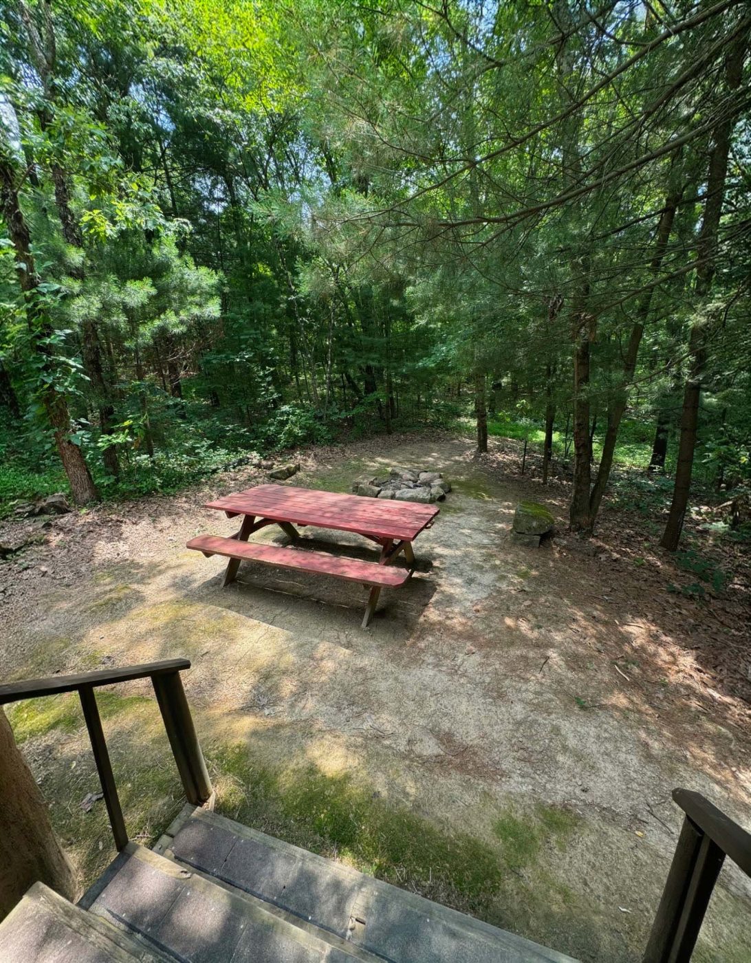 Picnic table and campfire pit in the wooded clearing below the deck