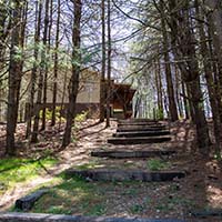 Pinewood cabin front