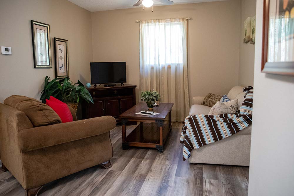 Living room, brown sofa, tv