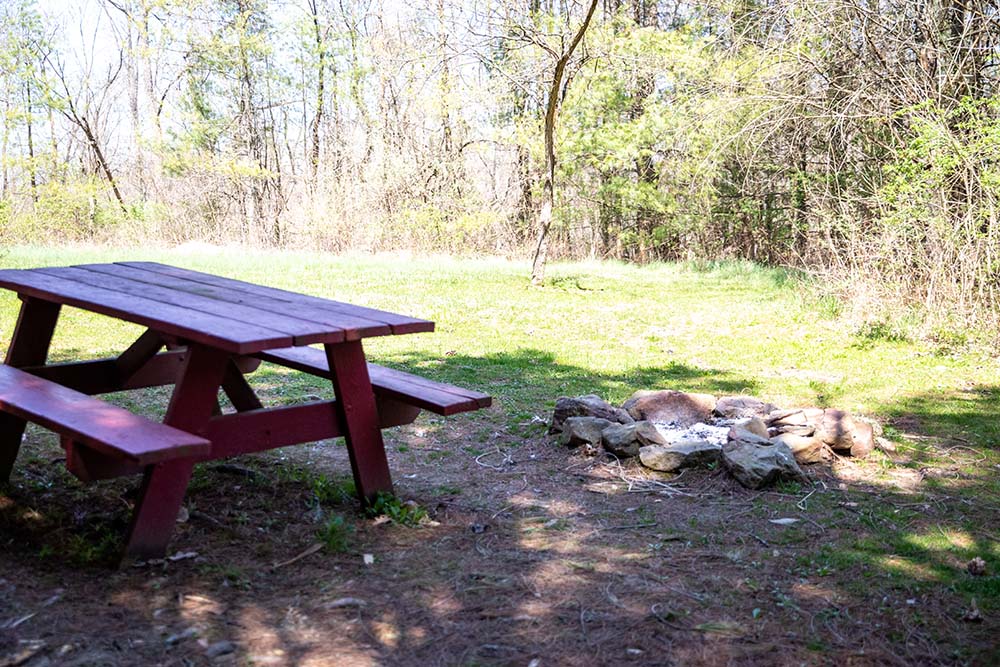 Firepit with red picnic table