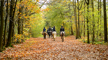 girl horseback riding