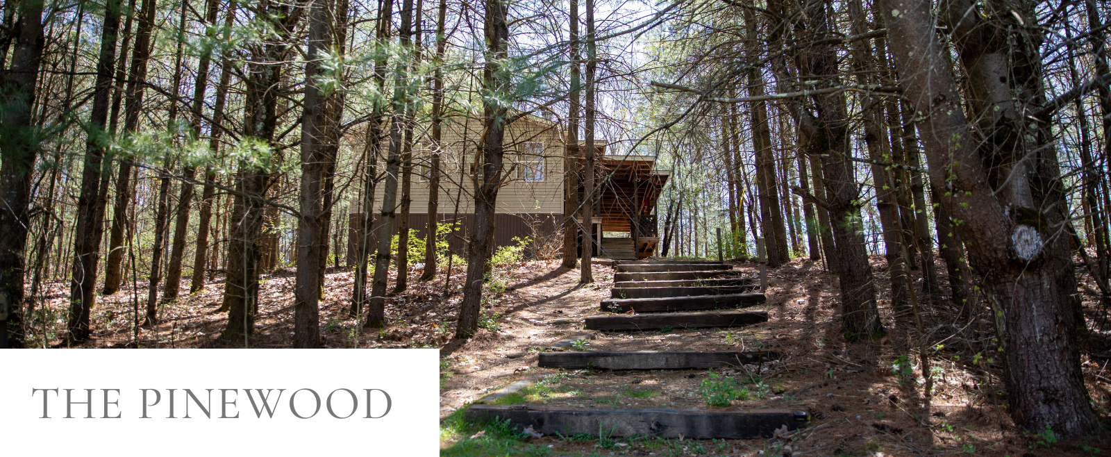 The Pinewood cabin in its wooded setting near Salt Fork Lake