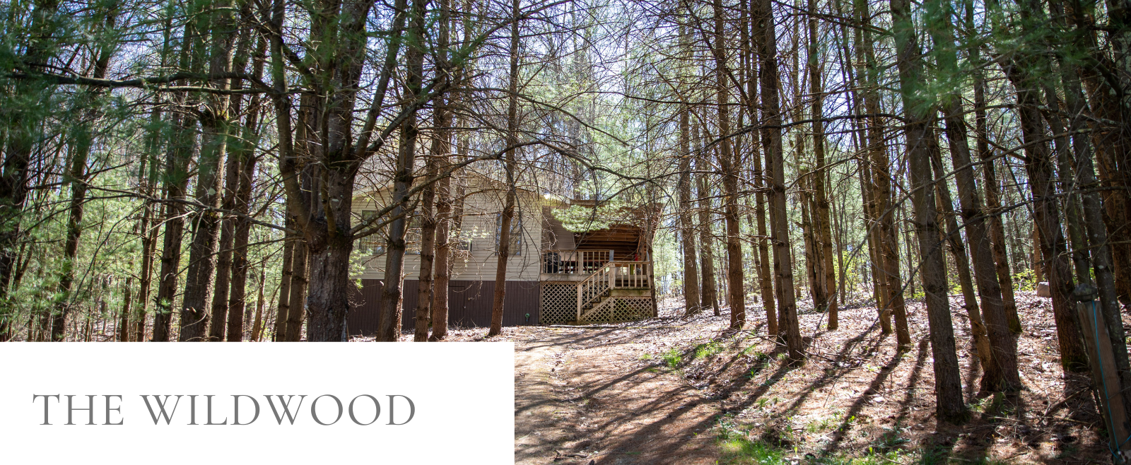Wildwood Cottage in its wooded setting near Salt Fork Lake
